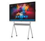 55 inch TrueBoard 01