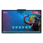 Interactive Panels for Education